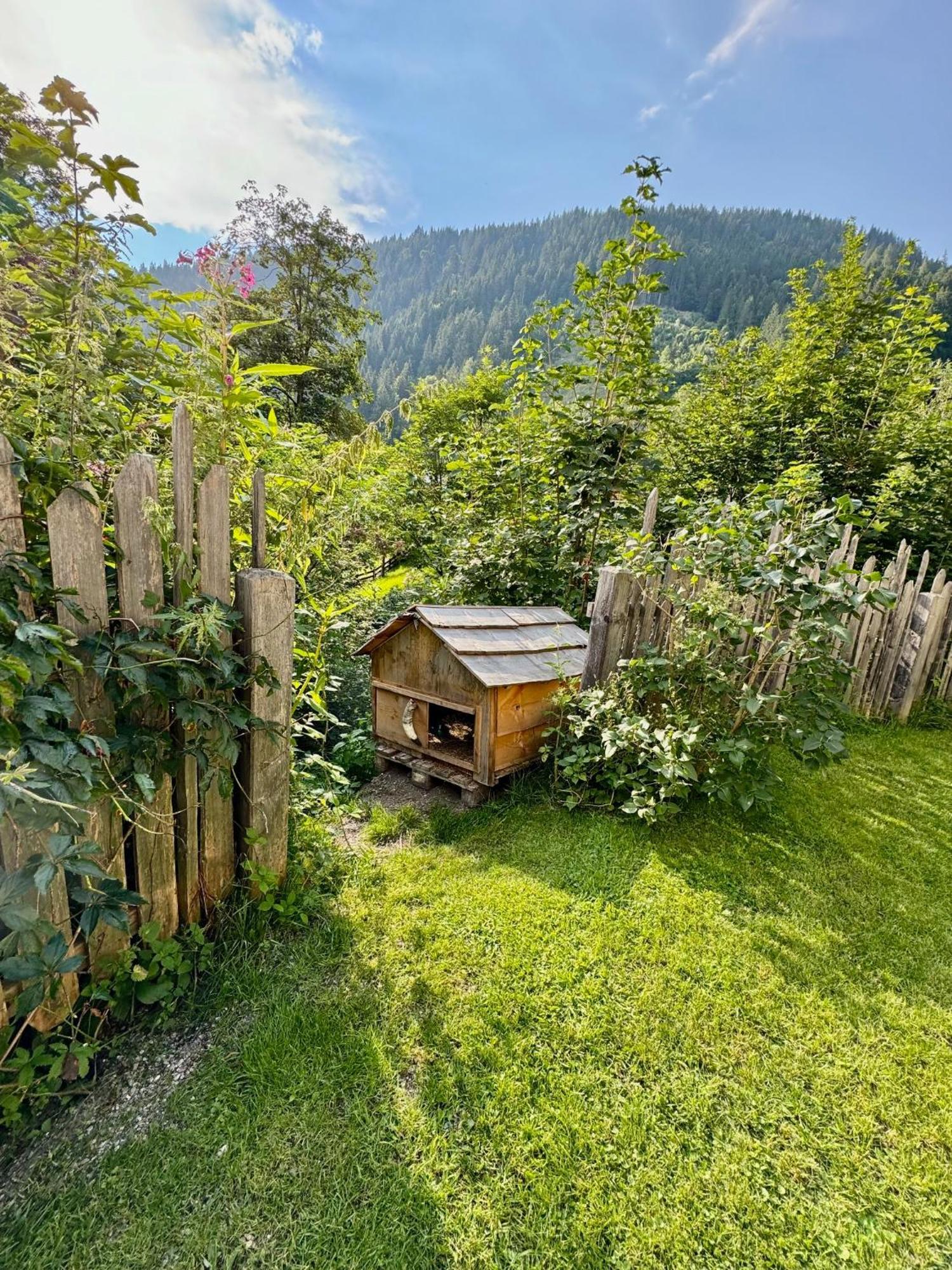 Appartement Hänsel&Gretel Werfenweng Exteriör bild